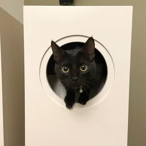 Акустика та апаратура